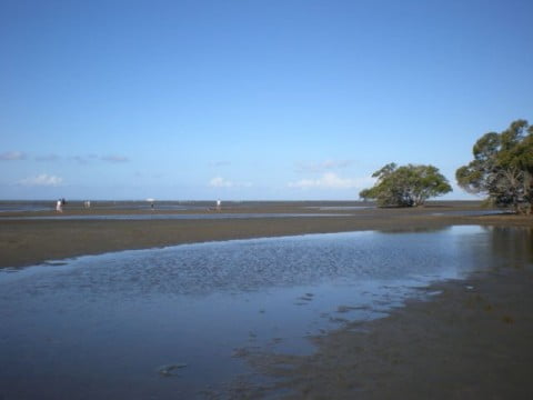 Nudgee Beach (1)
