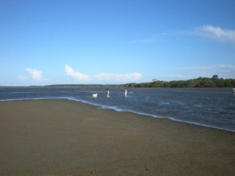 Nudgee Beach (10)
