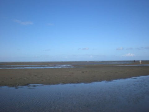 Nudgee Beach (2)
