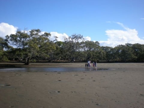 Nudgee Beach (5)