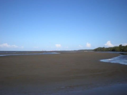 Nudgee Beach (6)