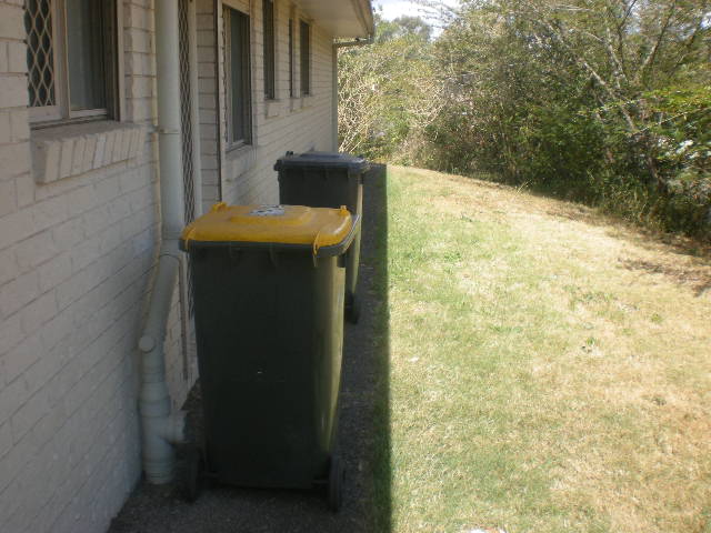 Our Bins