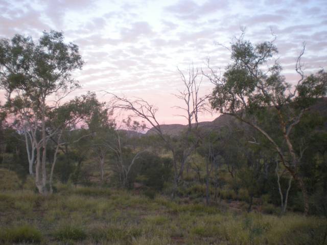 Central Australian Sky