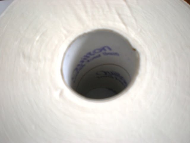 Inside a toilet roll