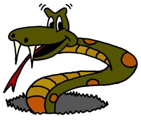 Snake - Cartoon
