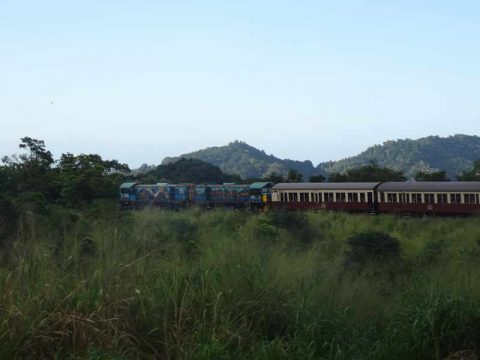 kuranda-scenic-train